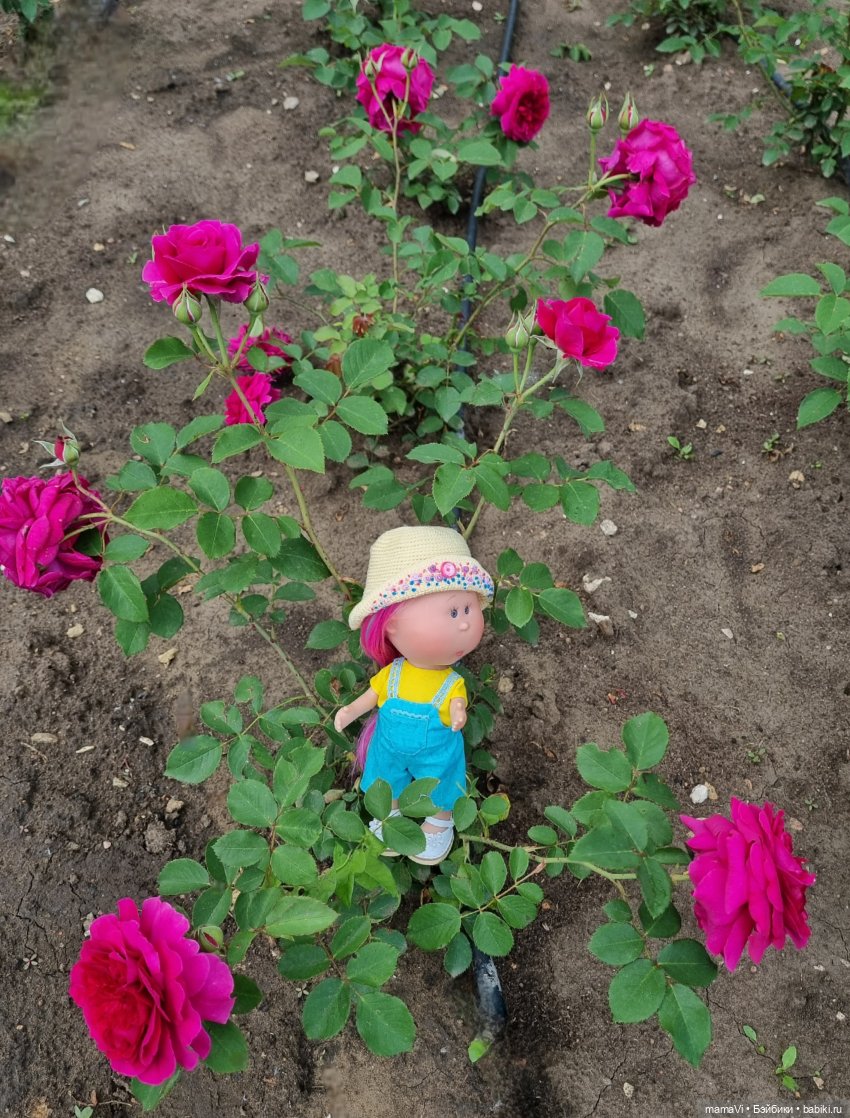 Как Тюпа Лучикова в отпуск ездила (фото 10)