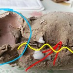 Восстановление бедра и шарнира(долго и скучно)