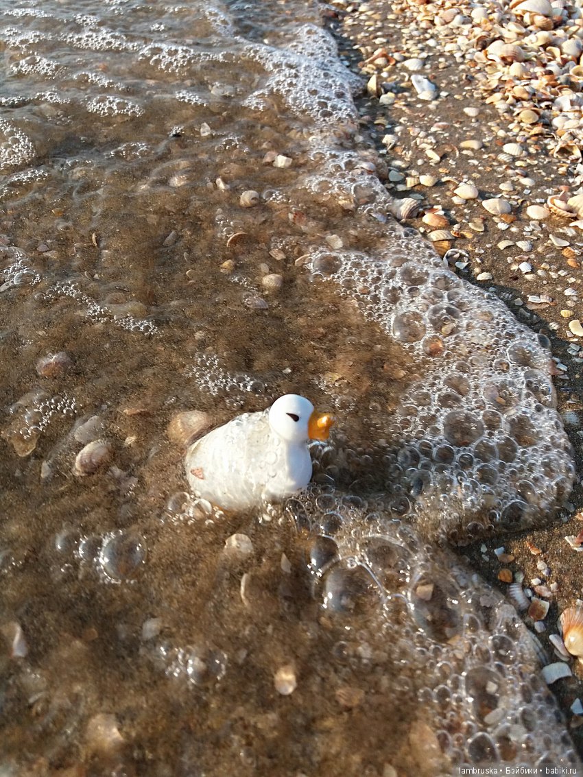 Морской привет от Барбары (фото 2)