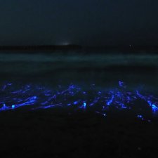 Самое яркое впечатление лета.