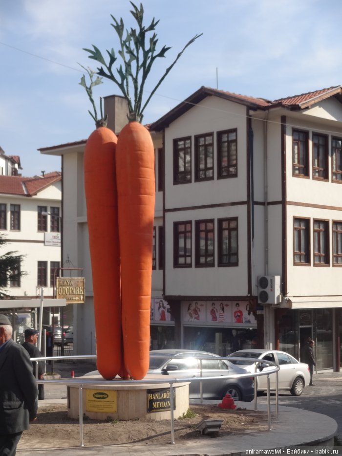 Beypazari - морковный город (фото 3)