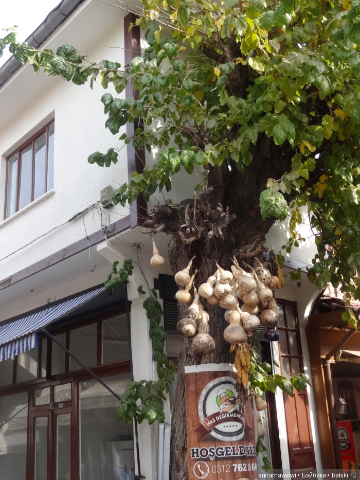 Beypazari - морковный город