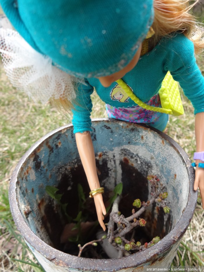 Botanik parki Анкара Турция
