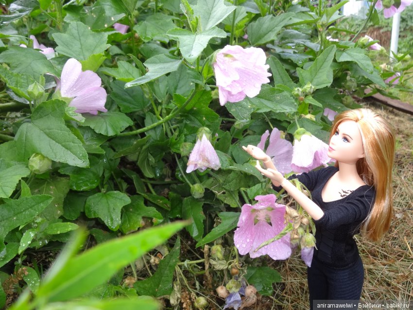 Tris - Divergent Barbie Collector (фото 3)