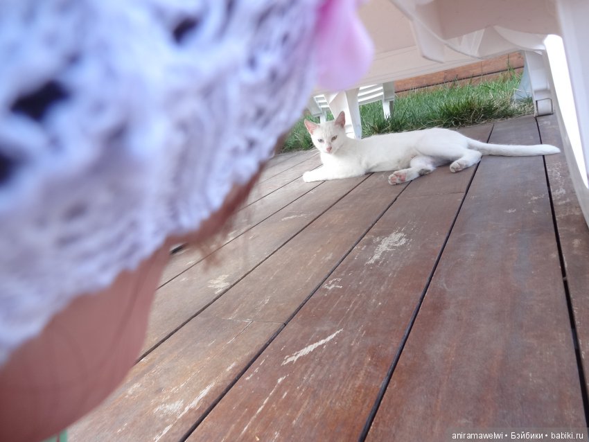 Горячий привет из Стамбула. Кукла реборн Даша