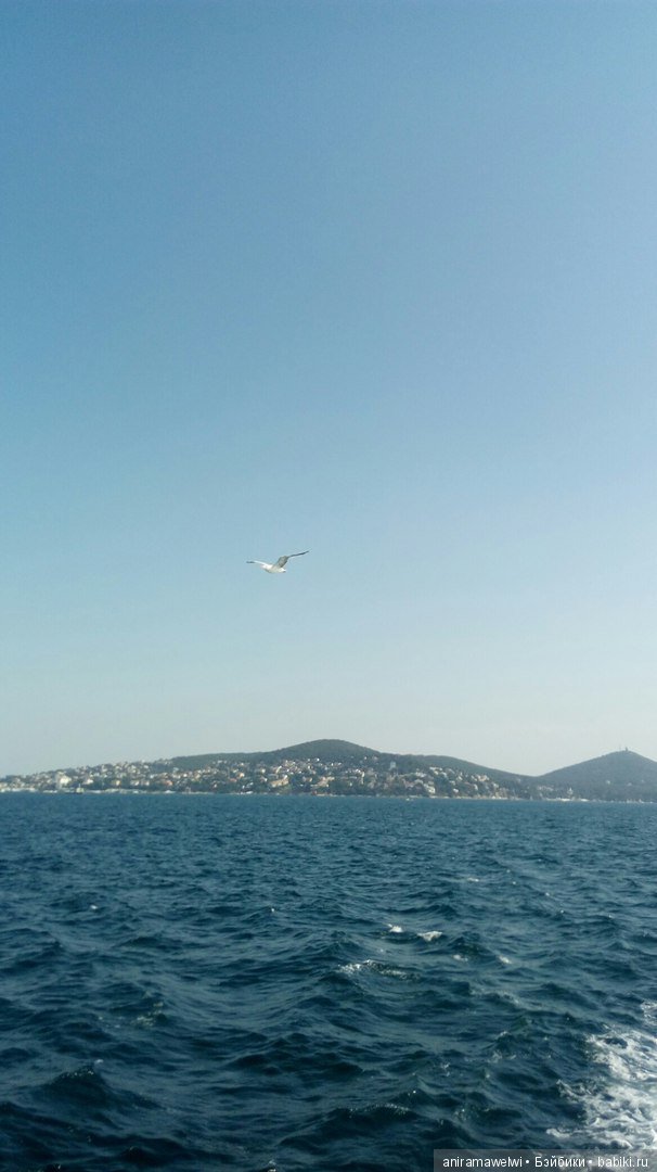 Горячий привет из Стамбула. Кукла реборн Даша (фото 9)