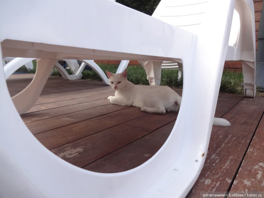 Горячий привет из Стамбула. Кукла реборн Даша