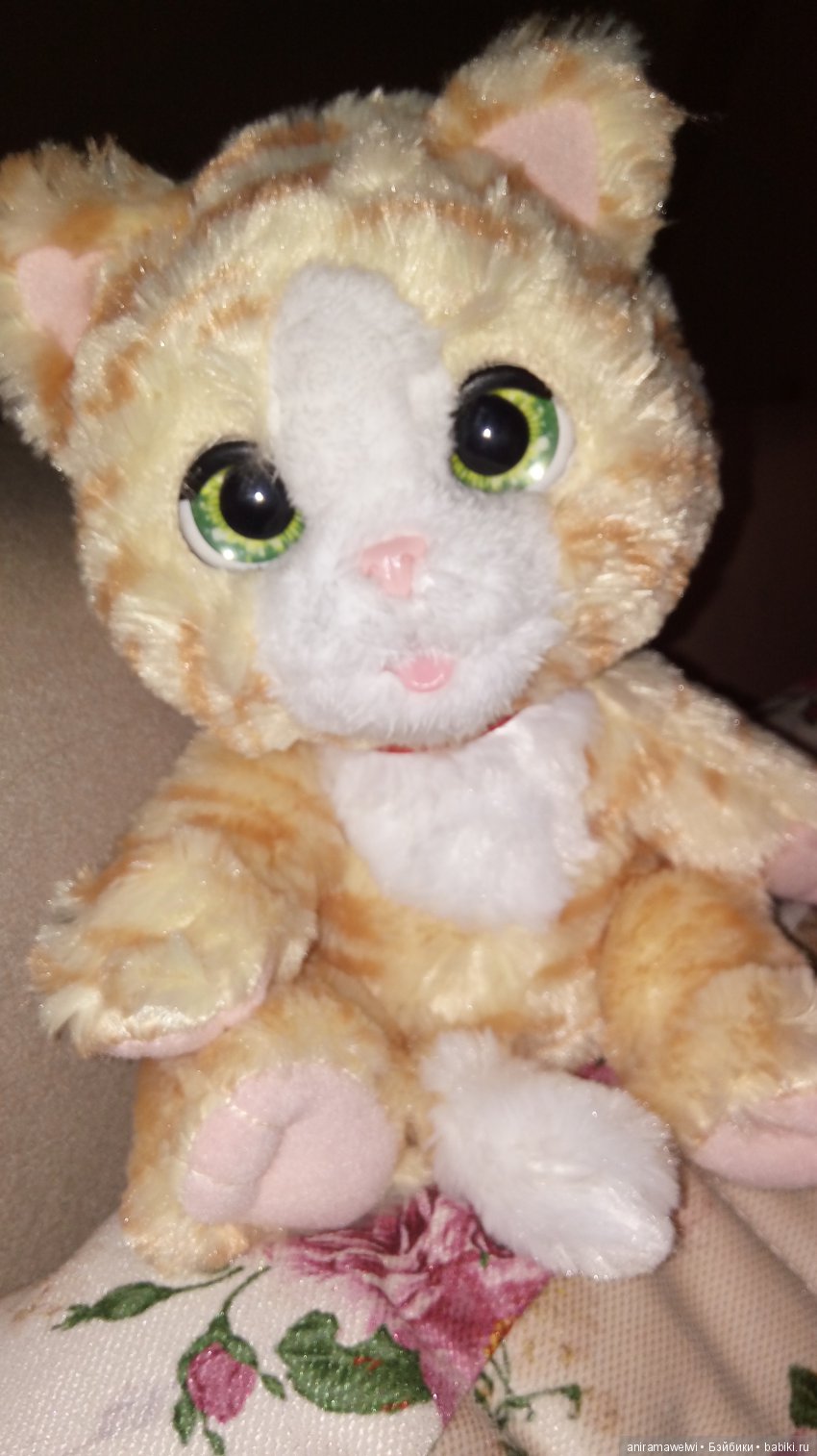 Наш всеобщий любимец - милый интерактивный котенок... Пока без имени