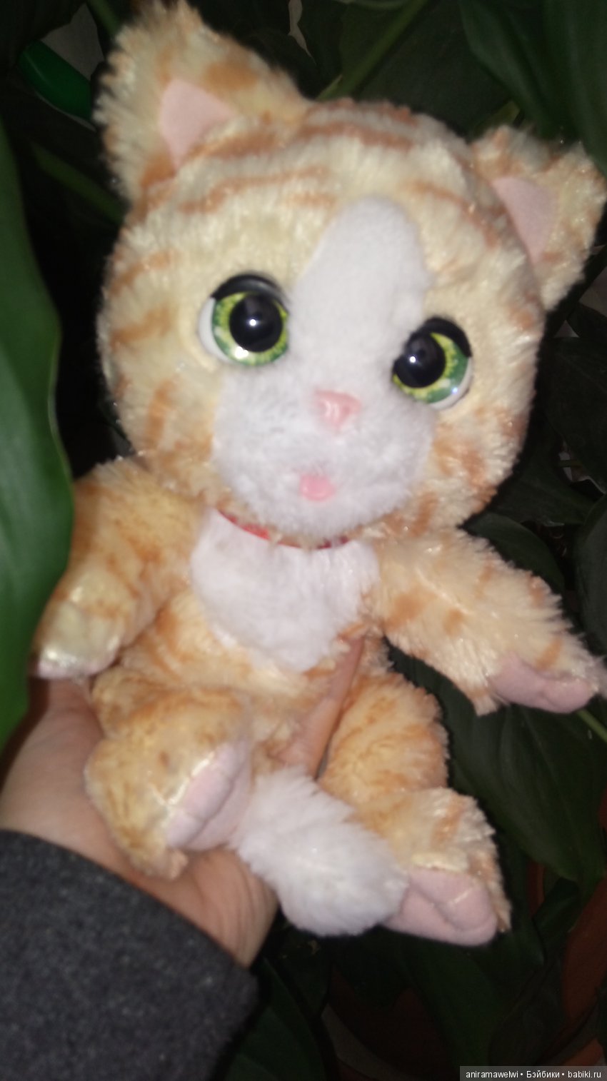 Наш всеобщий любимец - милый интерактивный котенок... Пока без имени