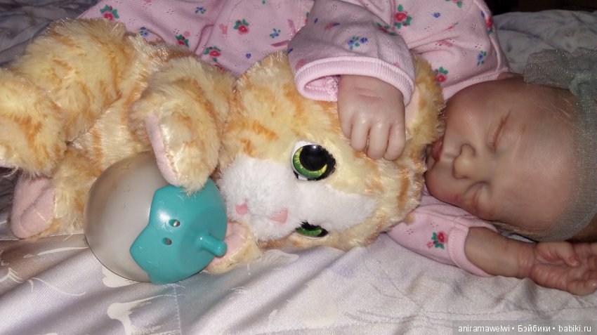 Наш всеобщий любимец - милый интерактивный котенок... Пока без имени (фото 4)