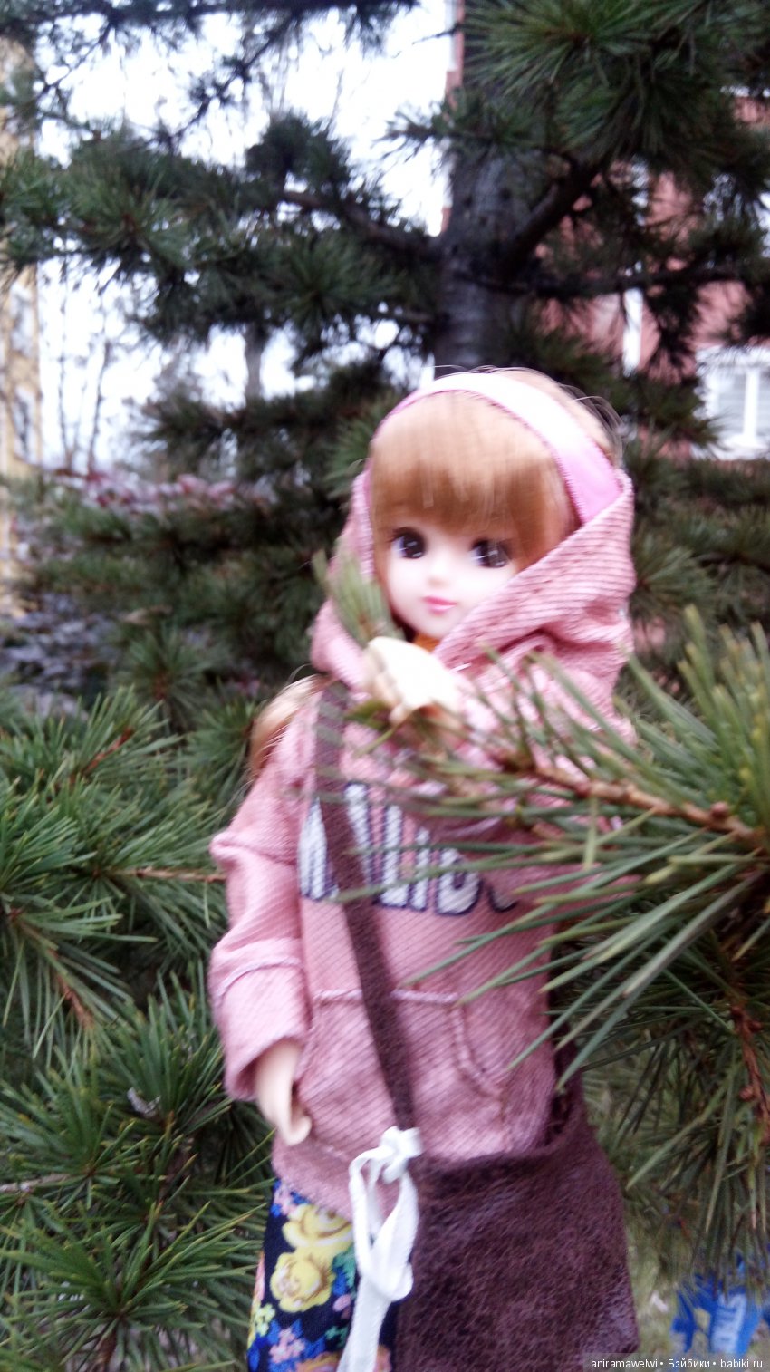 Прогулки Мики | Бэйбики Прогулки Мики — Болталка и разговоры обо всем: жизнь (фото 2)