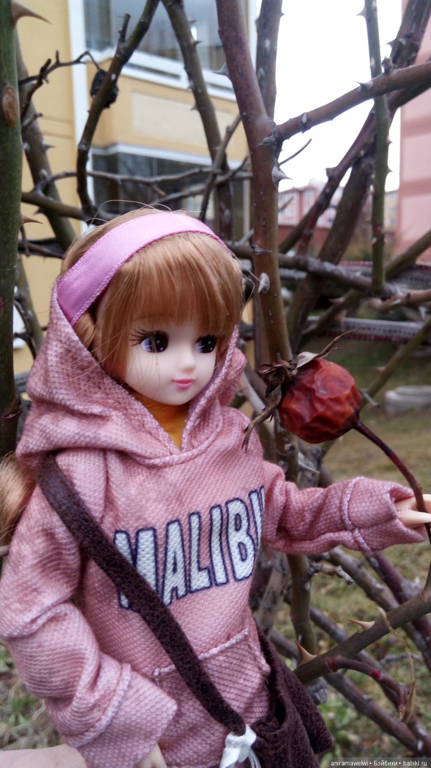 Прогулки Мики | Бэйбики Прогулки Мики — Болталка и разговоры обо всем: жизнь (фото 4)