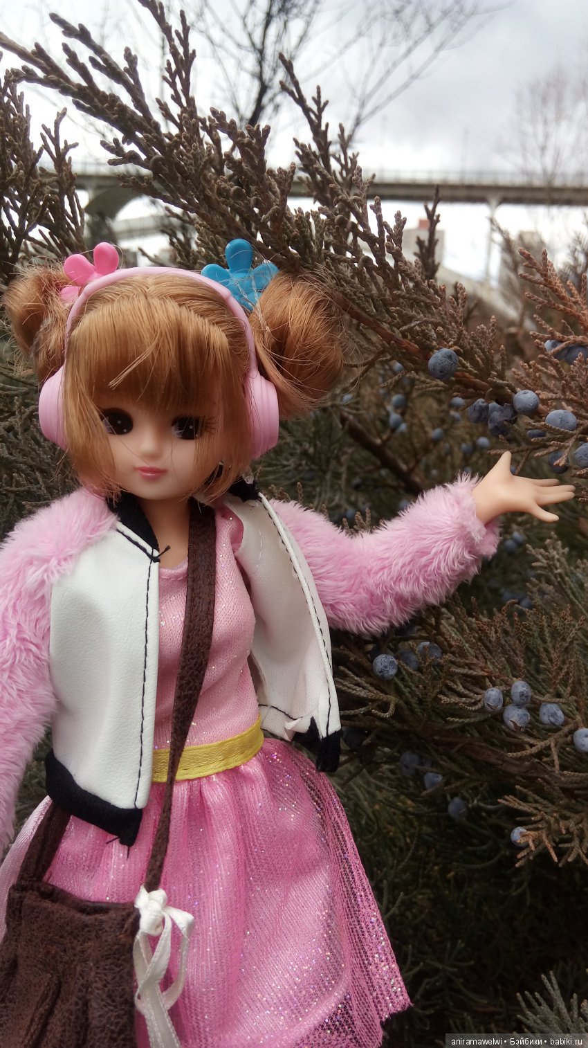 Прогулки Мики | Бэйбики Прогулки Мики — Болталка и разговоры обо всем: жизнь