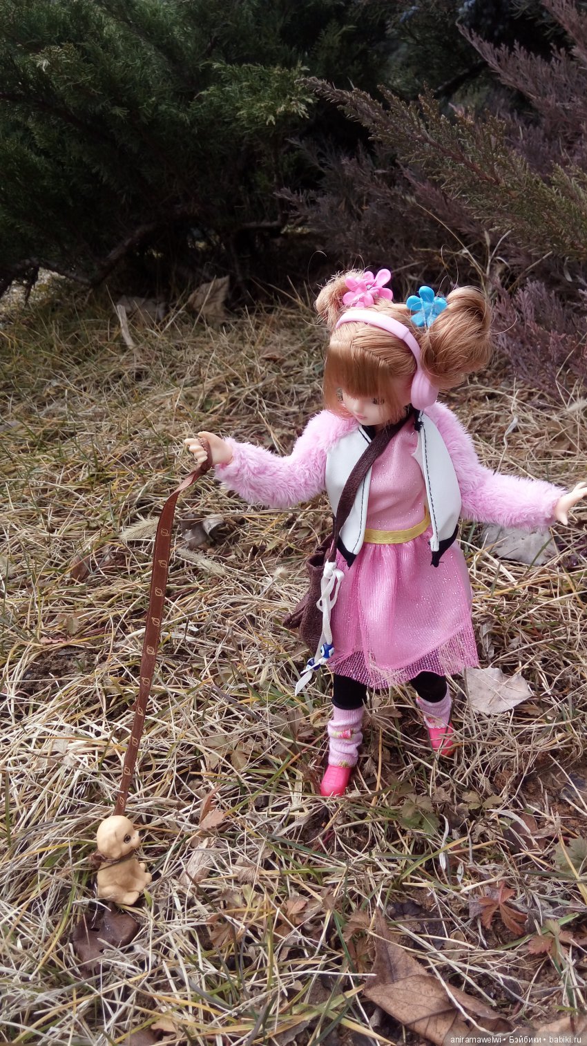 Прогулки Мики | Бэйбики Прогулки Мики — Болталка и разговоры обо всем: жизнь