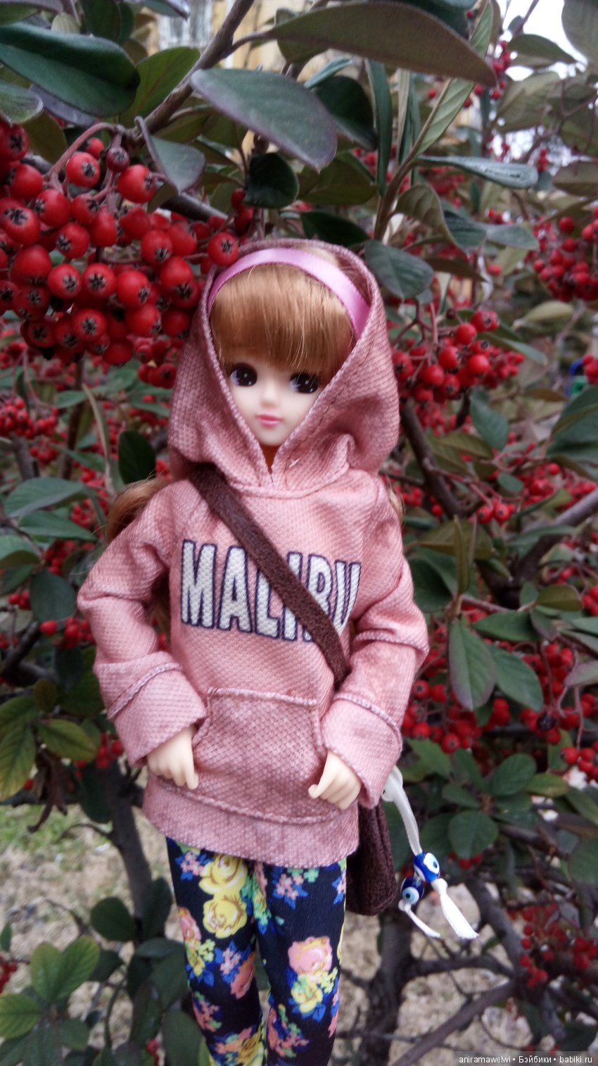 Прогулки Мики | Бэйбики Прогулки Мики — Болталка и разговоры обо всем: жизнь (фото 3)