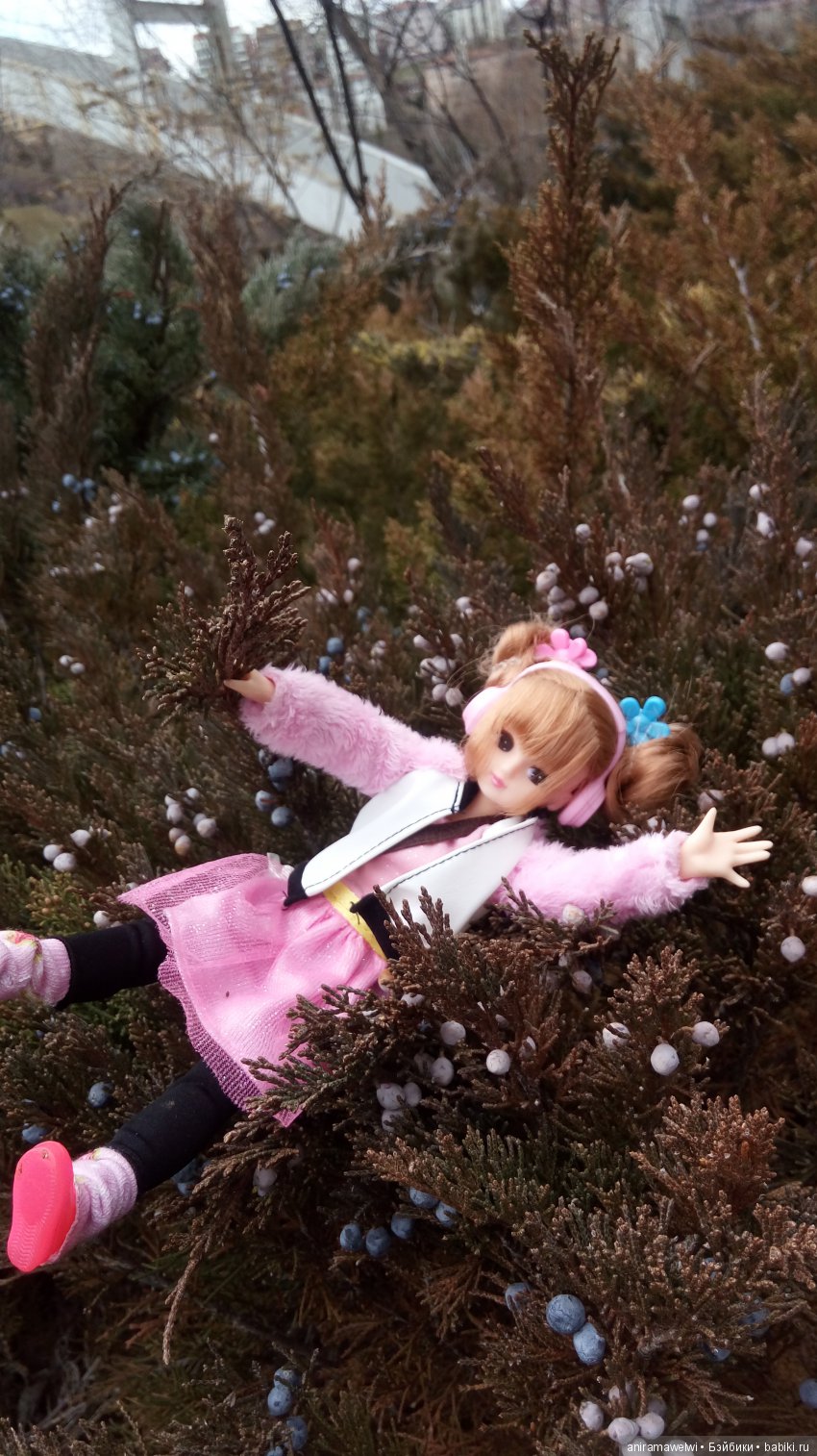 Прогулки Мики | Бэйбики Прогулки Мики — Болталка и разговоры обо всем: жизнь