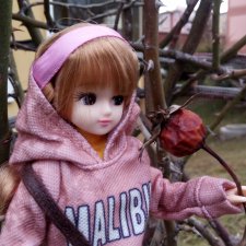 Прогулки Мики