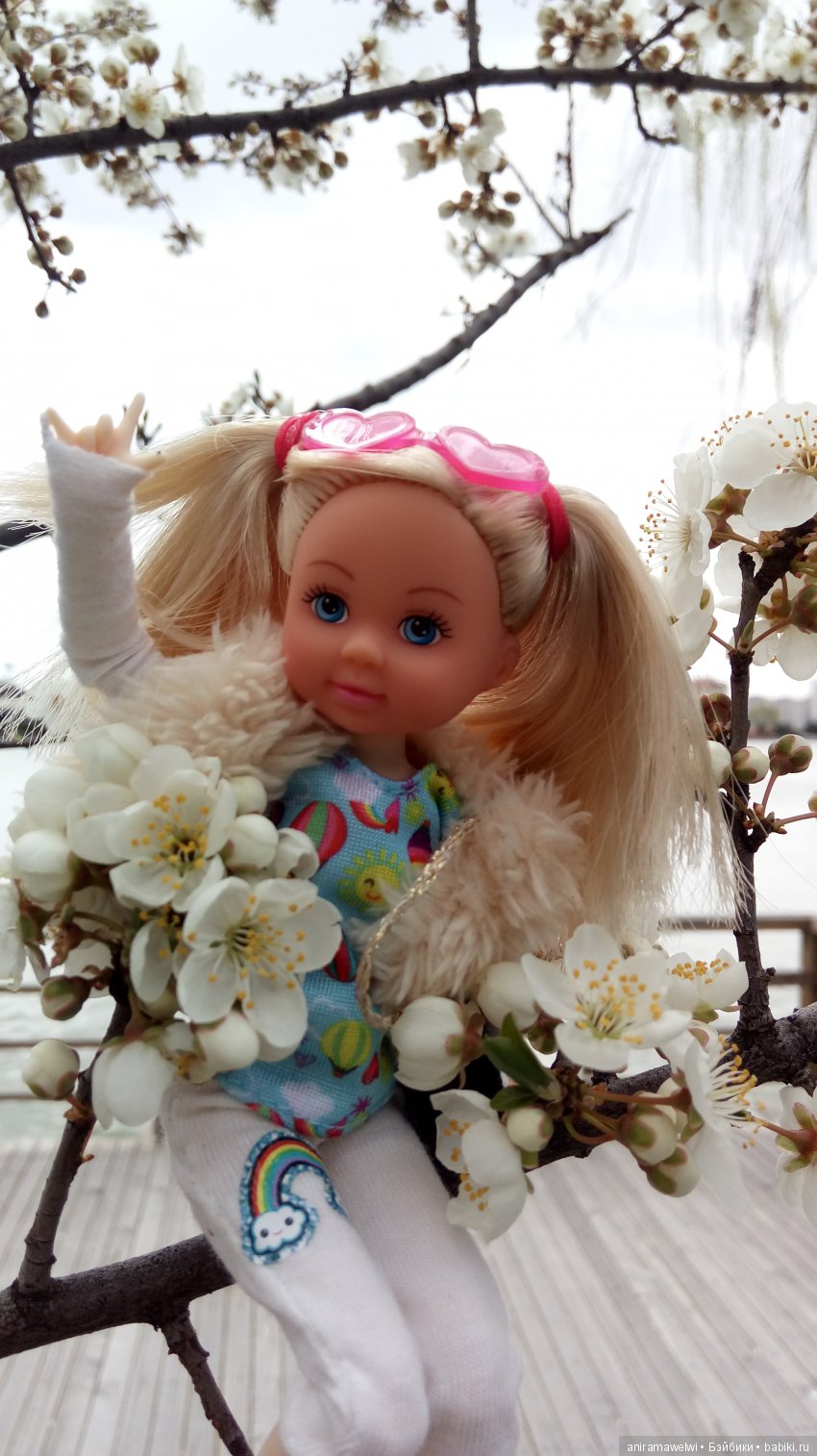 Новости от Еви/Evi (комната Еви, новая прическа, обновки и прогулка)