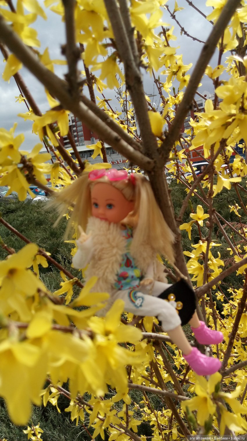 Новости от Еви/Evi (комната Еви, новая прическа, обновки и прогулка)