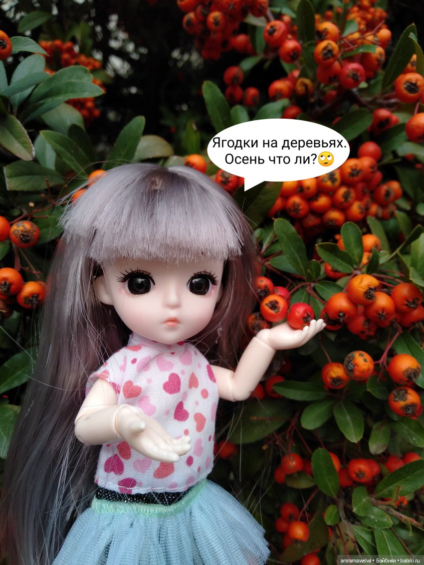 Как Ния заблудилась во временах года (фото 3)