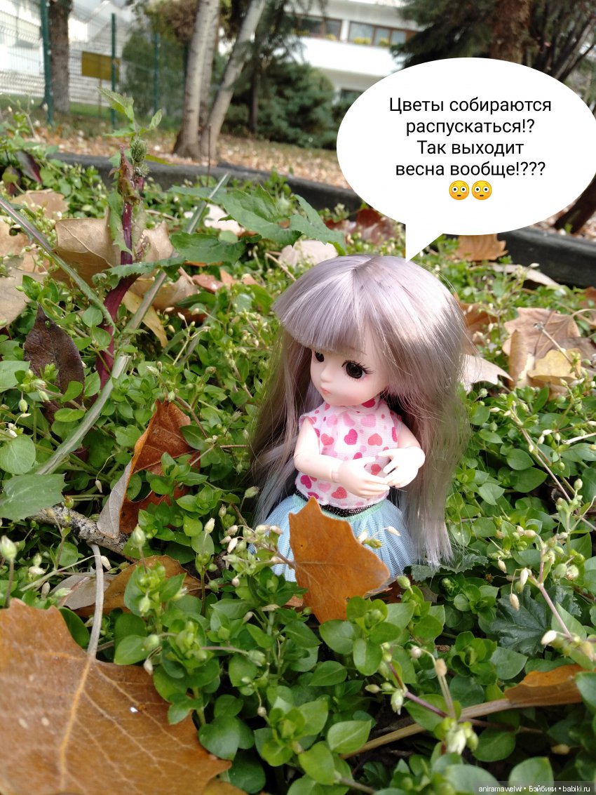 Как Ния заблудилась во временах года (фото 10)