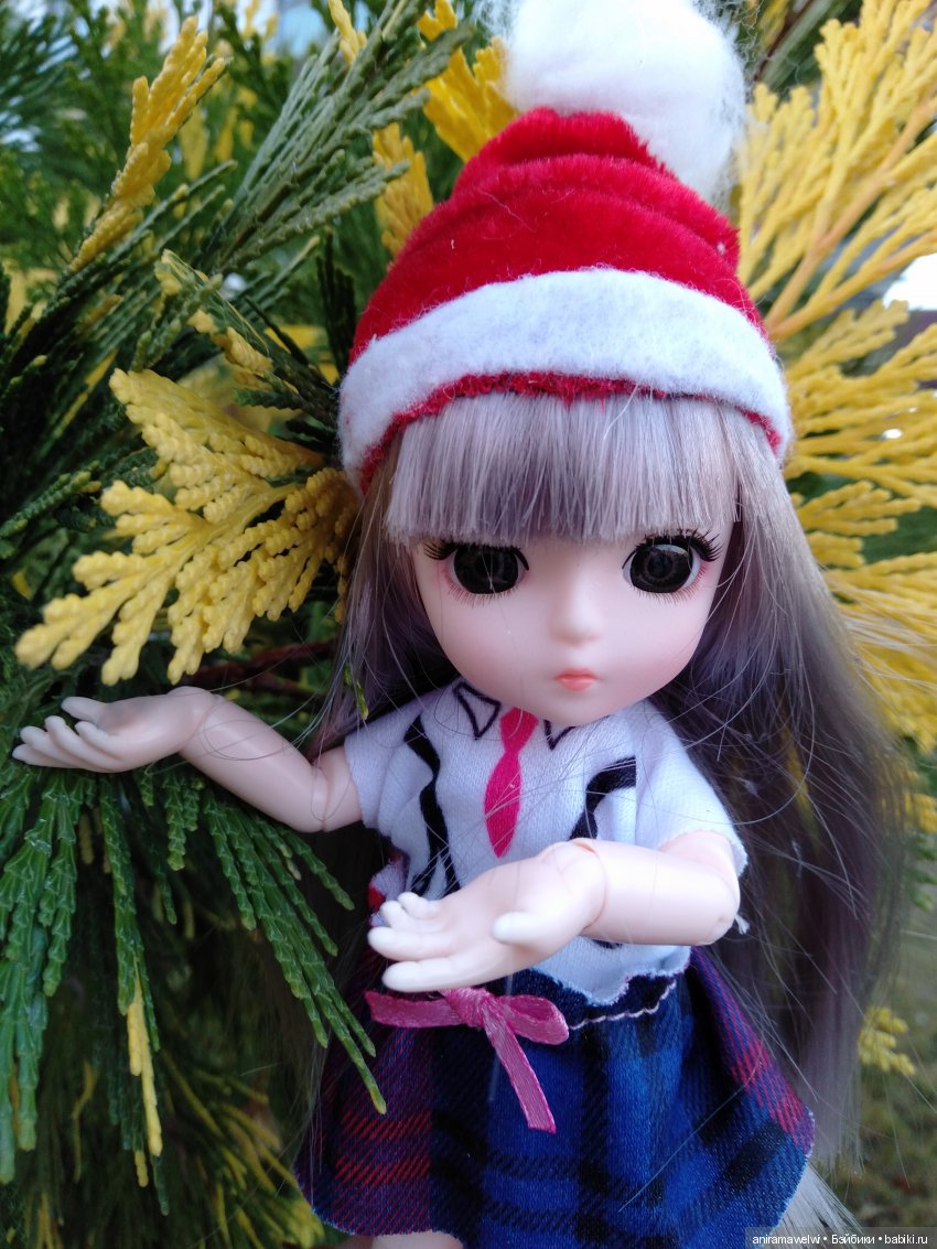 Вот такой декабрь. Сюрприз во время прогулки Нии