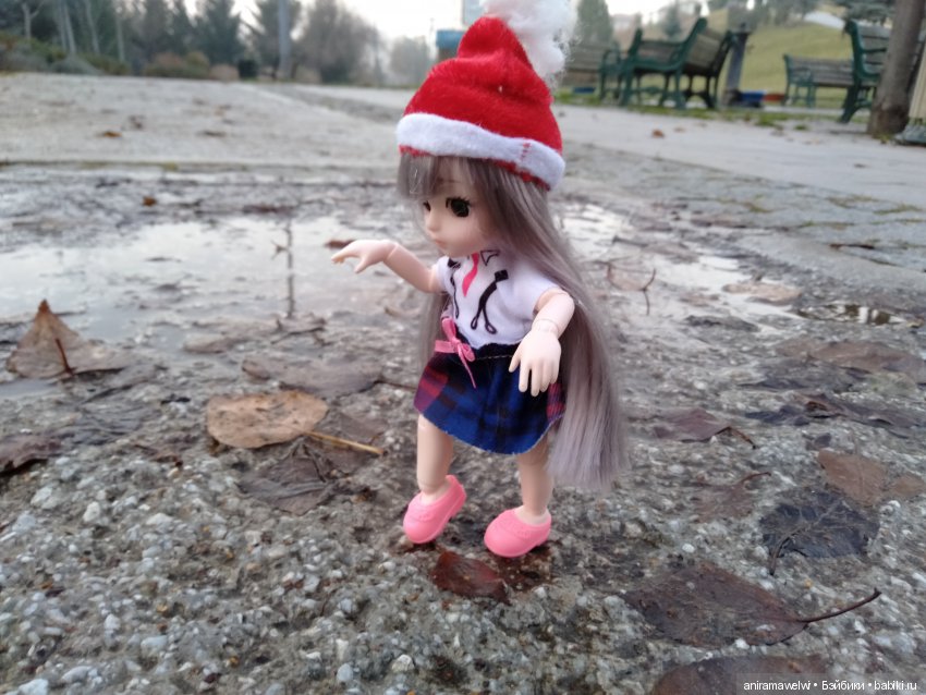 Вот такой декабрь. Сюрприз во время прогулки Нии (фото 3)