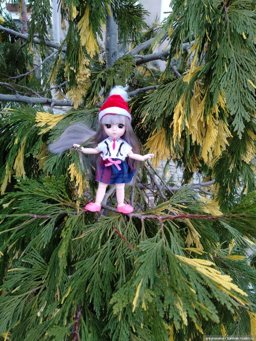 Вот такой декабрь. Сюрприз во время прогулки Нии