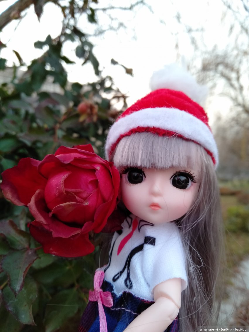 Вот такой декабрь. Сюрприз во время прогулки Нии (фото 7)