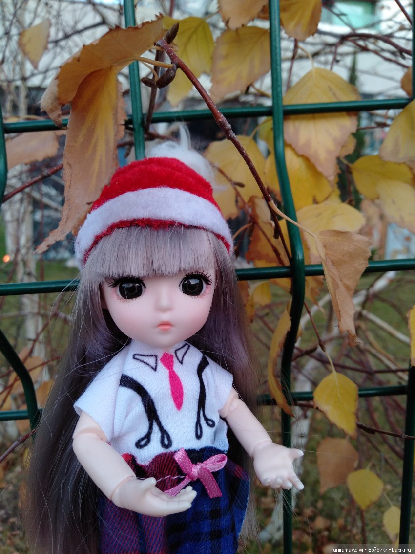 Вот такой декабрь. Сюрприз во время прогулки Нии