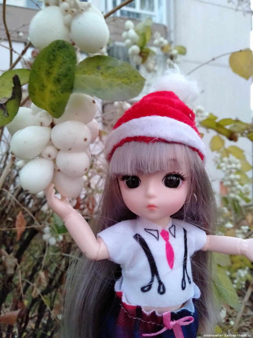 Вот такой декабрь. Сюрприз во время прогулки Нии