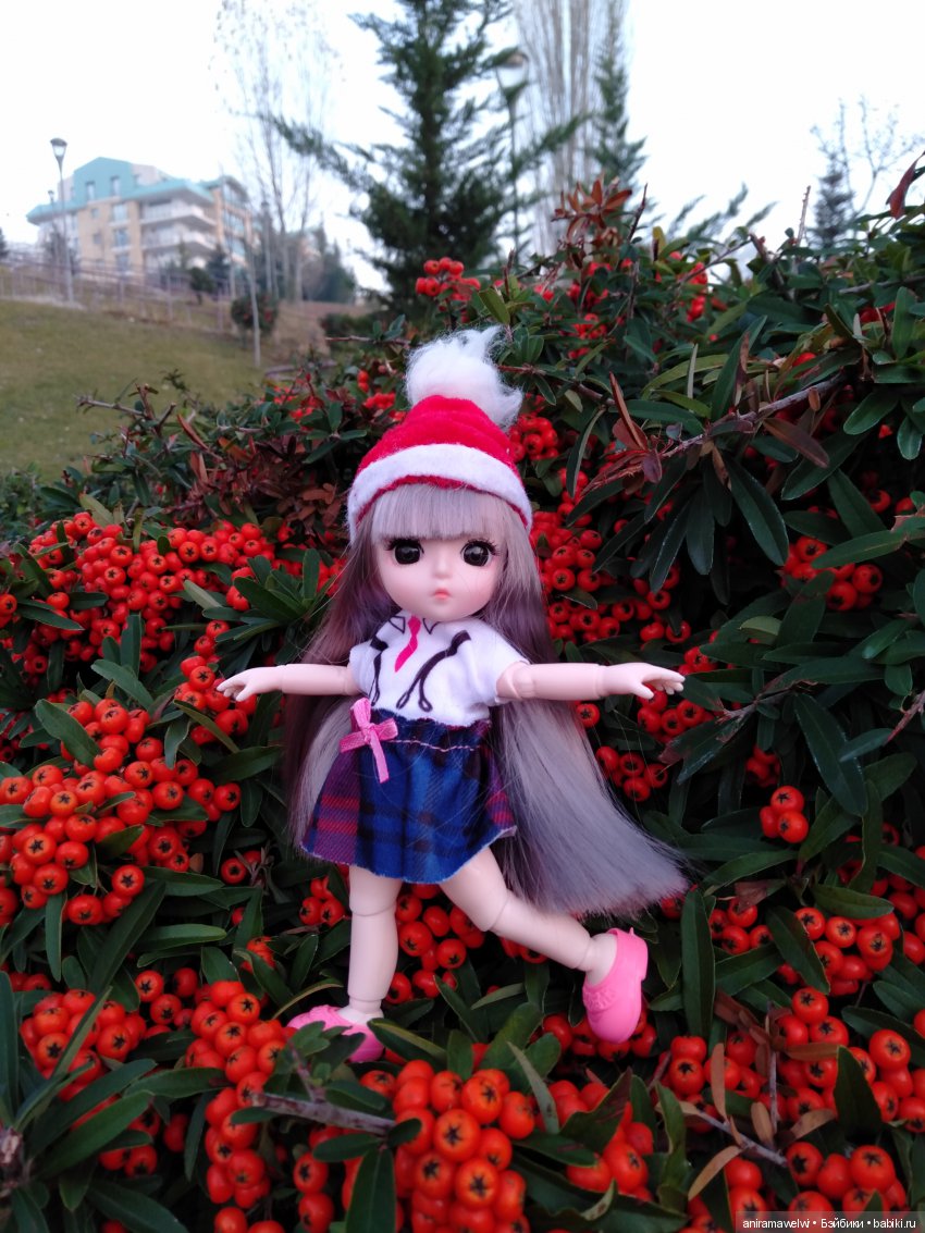 Вот такой декабрь. Сюрприз во время прогулки Нии (фото 6)