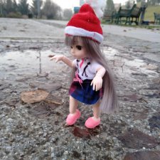 Вот такой декабрь. Сюрприз во время прогулки Нии