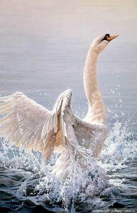 Театральная постановка фрагмента из Сказки о царе Салтане