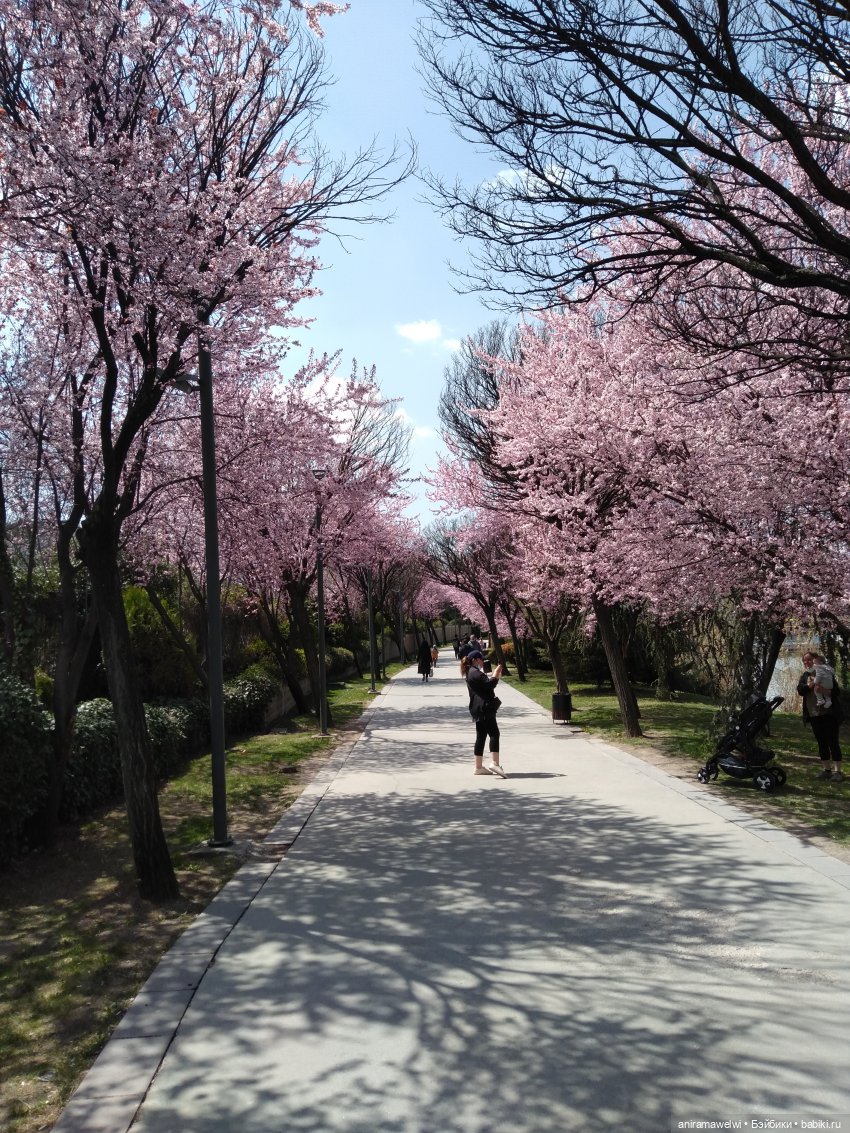 Варвара и Андрей. То что осталось за кадром (фото 6)