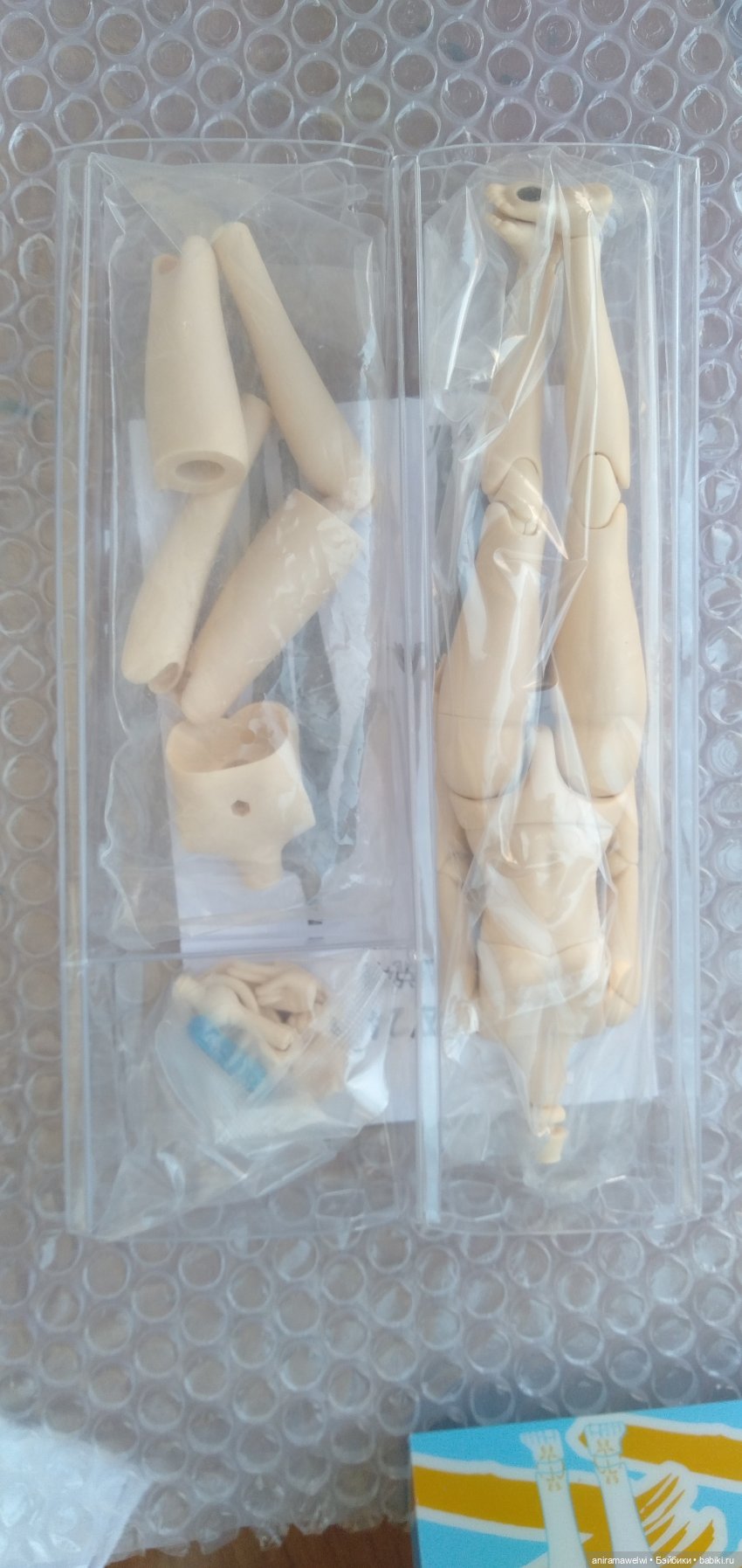 Тело Yumi 22/24 см. для Насти. Тест-драйв на подвижность (фото 3)