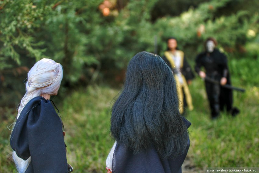 Магический поединок четверых, по мотивам "Ведьмака" (фото 9)