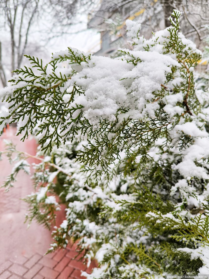 Громов жжёт — Гибриды шарнирных кукол (не БЖД): подбор тела (фото 3)