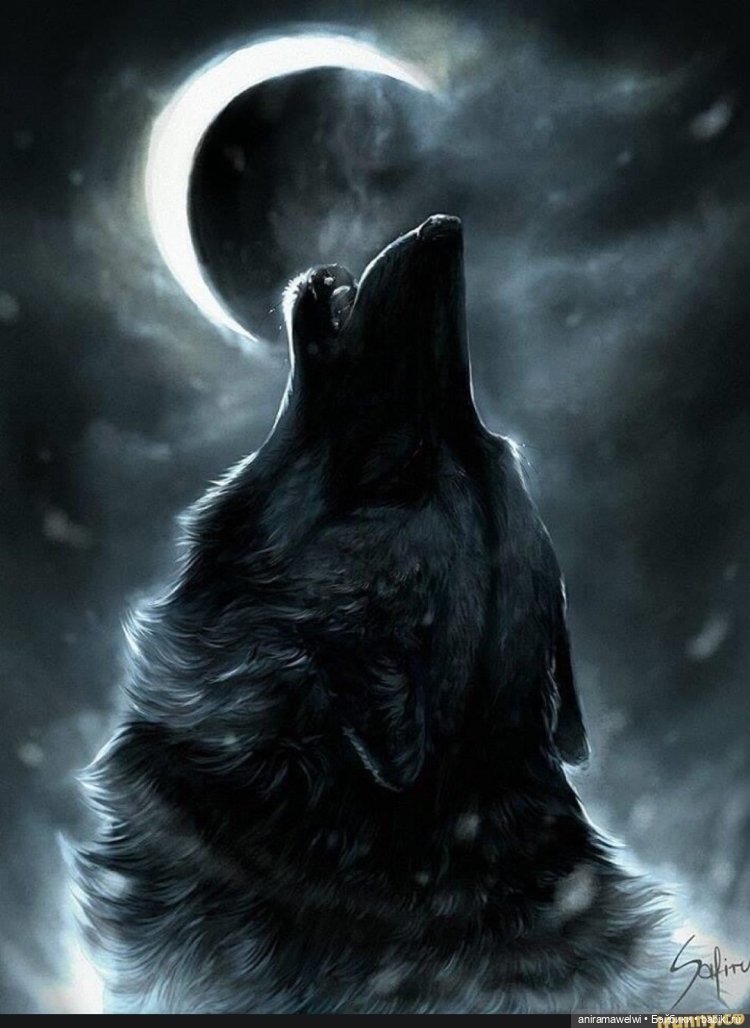 Раскачаем этот мир! Назгулы (фото 2)