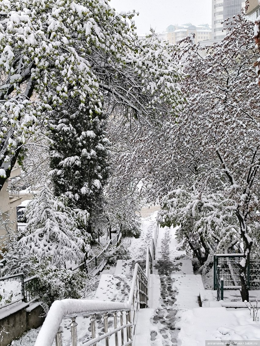 День вдвоем — Куклы Barbie (Барби): Looks