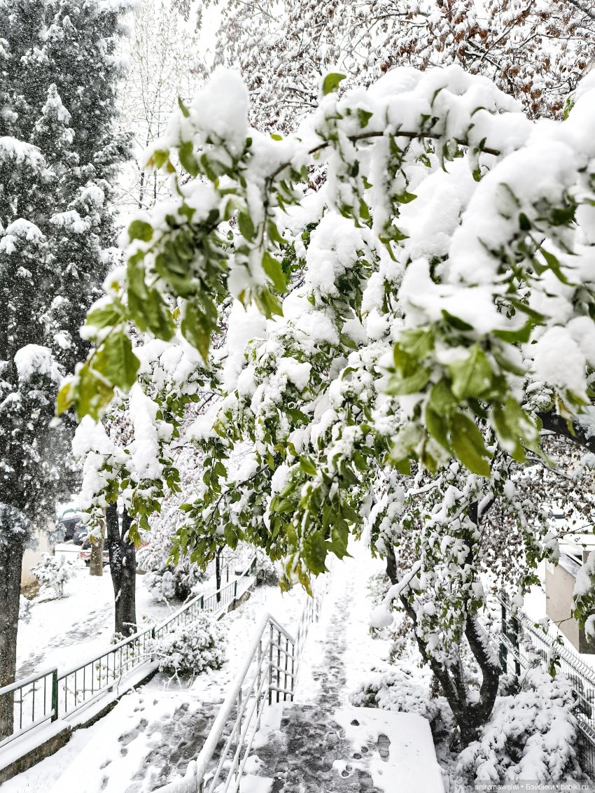 День вдвоем — Куклы Barbie (Барби): Looks (фото 2)