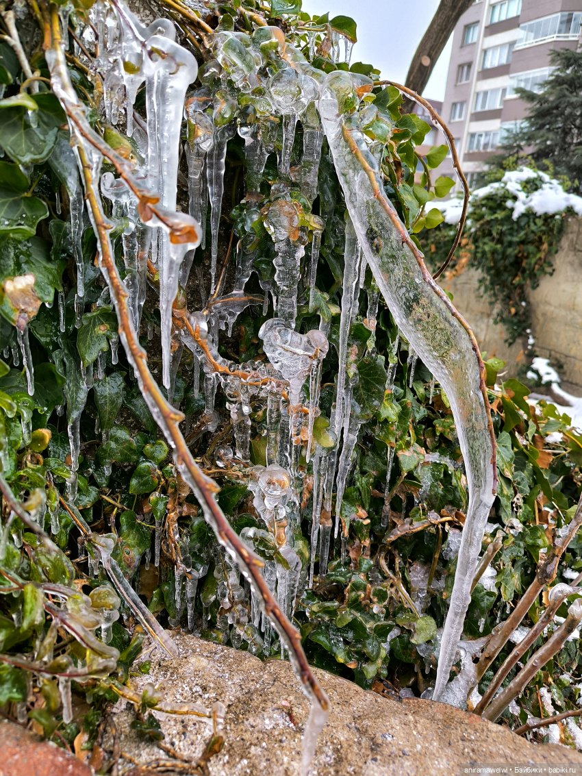 День вдвоем — Куклы Barbie (Барби): Looks (фото 3)