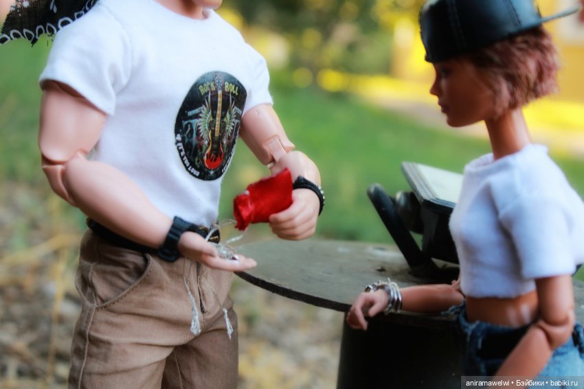 Один день вдвоём — Кукольные фотоистории и сериалы: комиксы