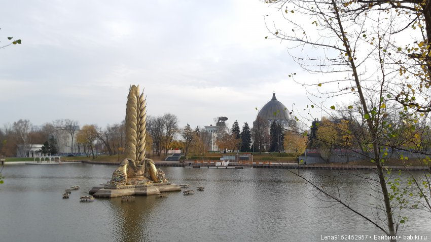 За последними красками осени