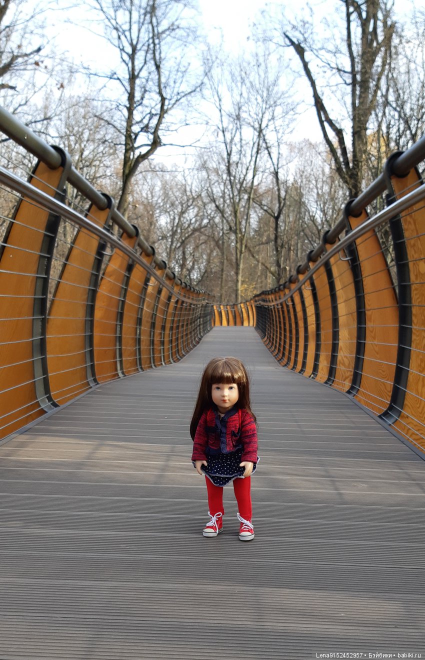 За последними красками осени