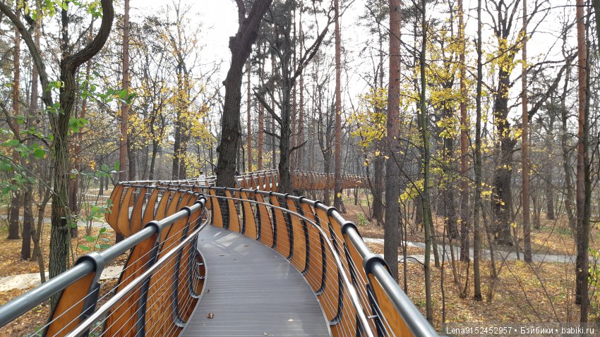 За последними красками осени