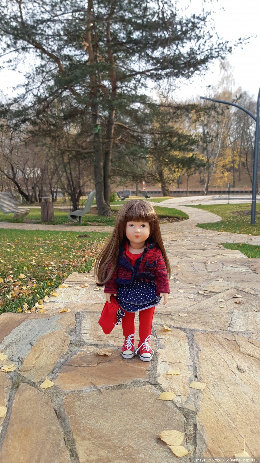 За последними красками осени