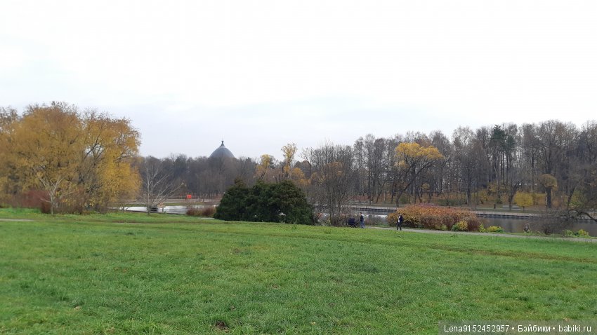 За последними красками осени