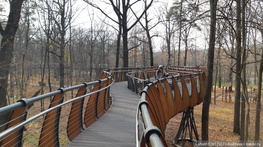 За последними красками осени