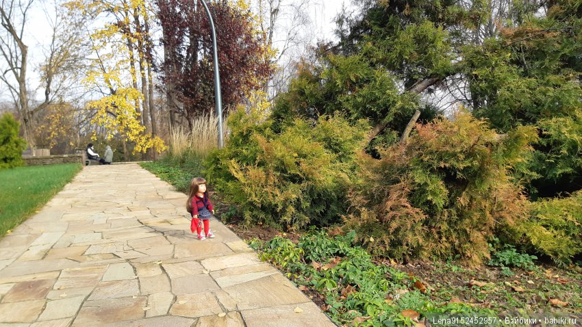 За последними красками осени